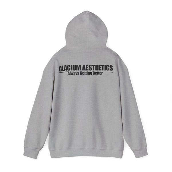Glacium aesthetics grey heavy blend 'always getting better' quote hoodie pump cover