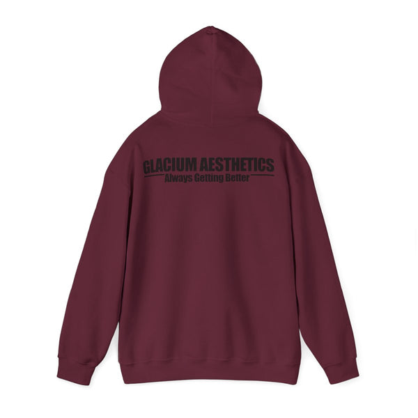 Glacium aesthetics maroon heavy blend 'always getting better' quote hoodie pump cover