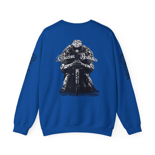 Blue sweatshirt pump cover for the gym from the Crusader Series collection, featuring a heavy blend fabric and 'From The Ashes' design